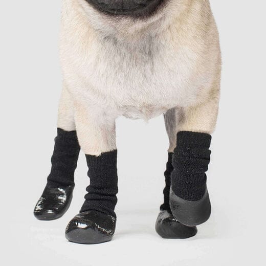 Canada Pooch Slouchy Dog Socks - Black - Small