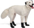 Canada Pooch Soft Shield Dog Boots