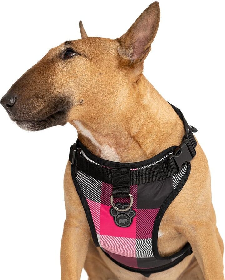 Canada Pooch Water-Resistent Everything Dog Harness