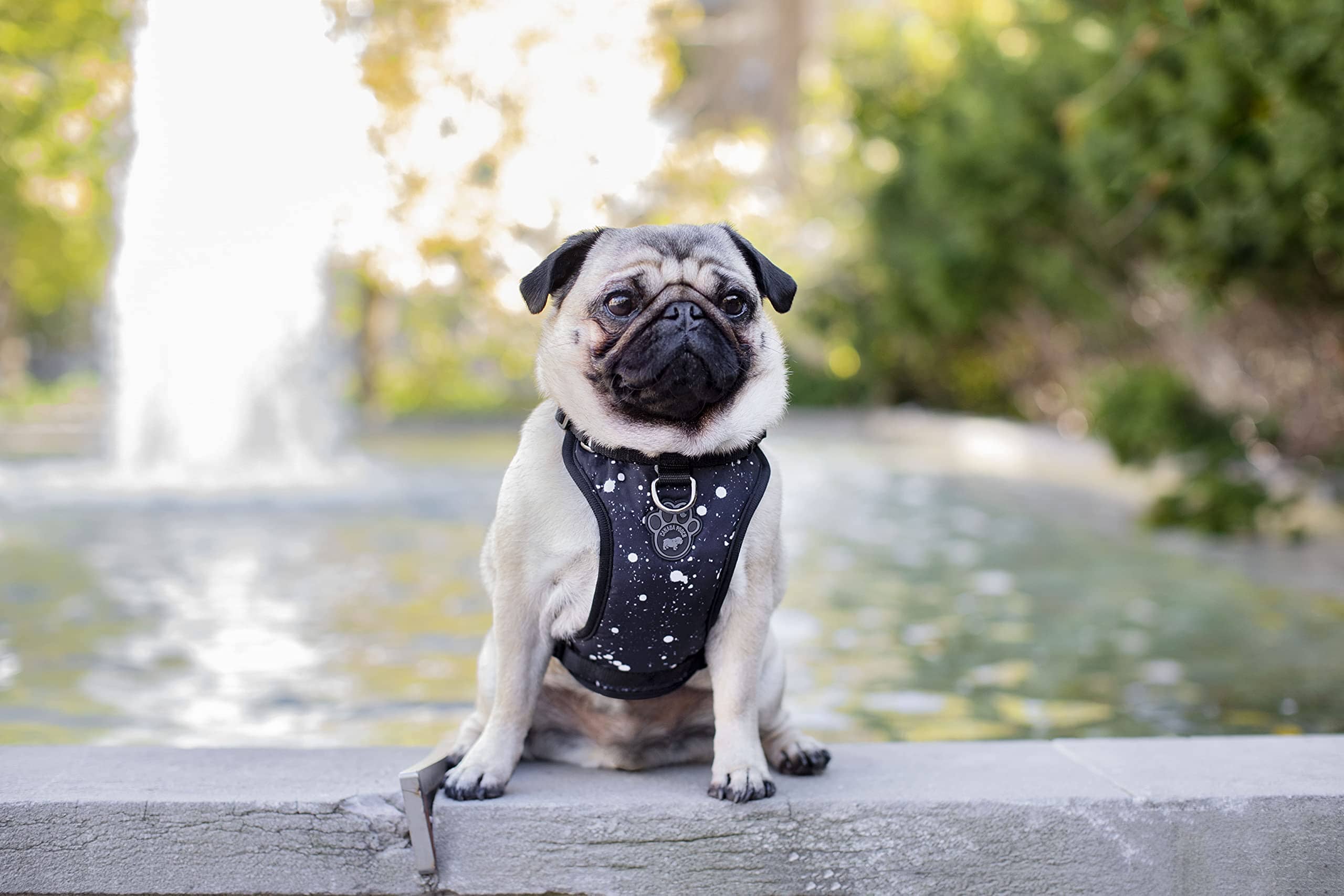 Canada Pooch Water-Resistent Everything Dog Harness