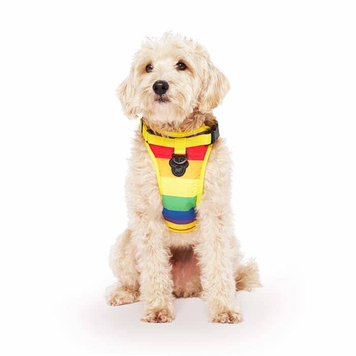 Canada Pooch Water-Resistent Everything Dog Harness