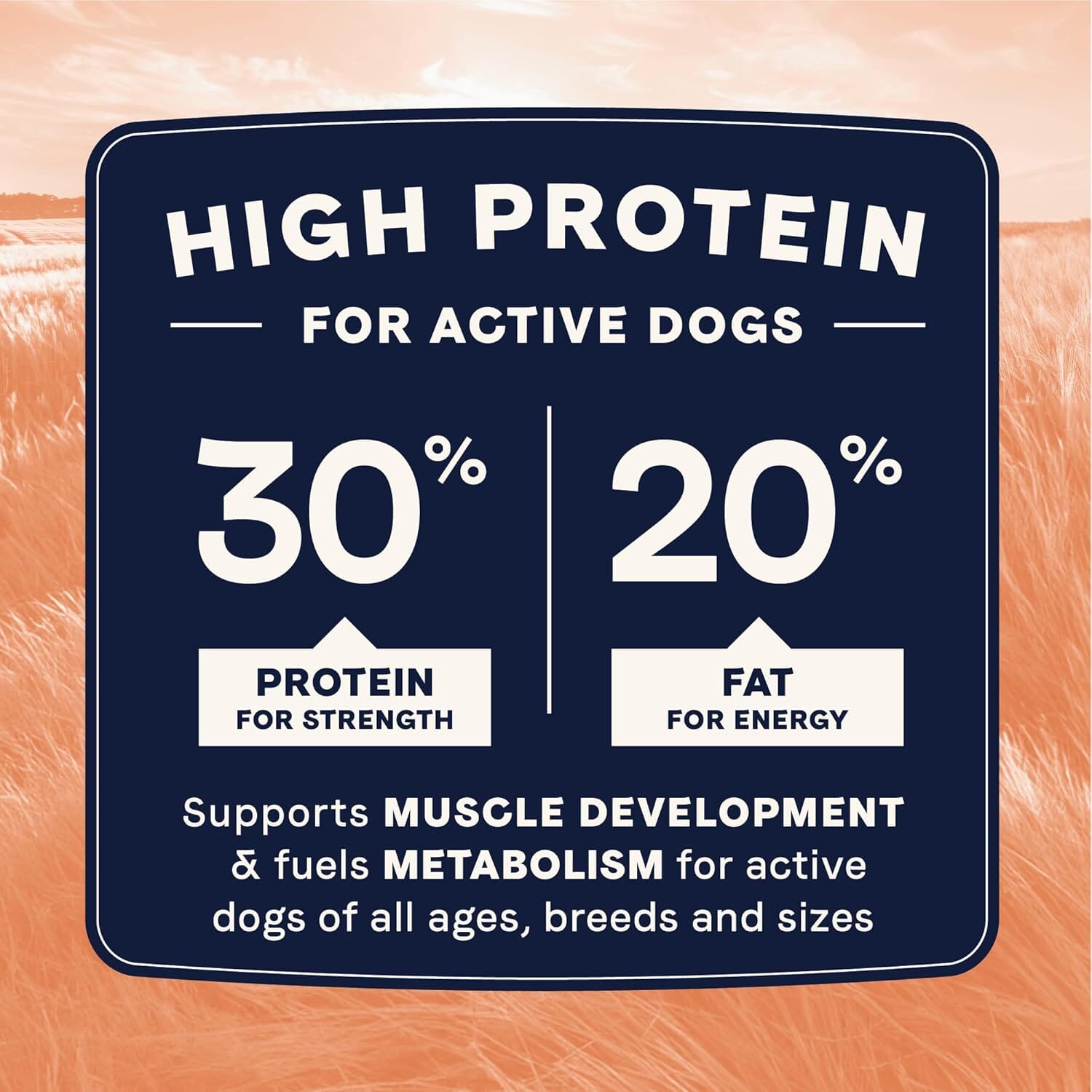 Canidae All Life Stages High-Protein Salmon and Ancient Grains Dry Dog Food - 27 Lbs