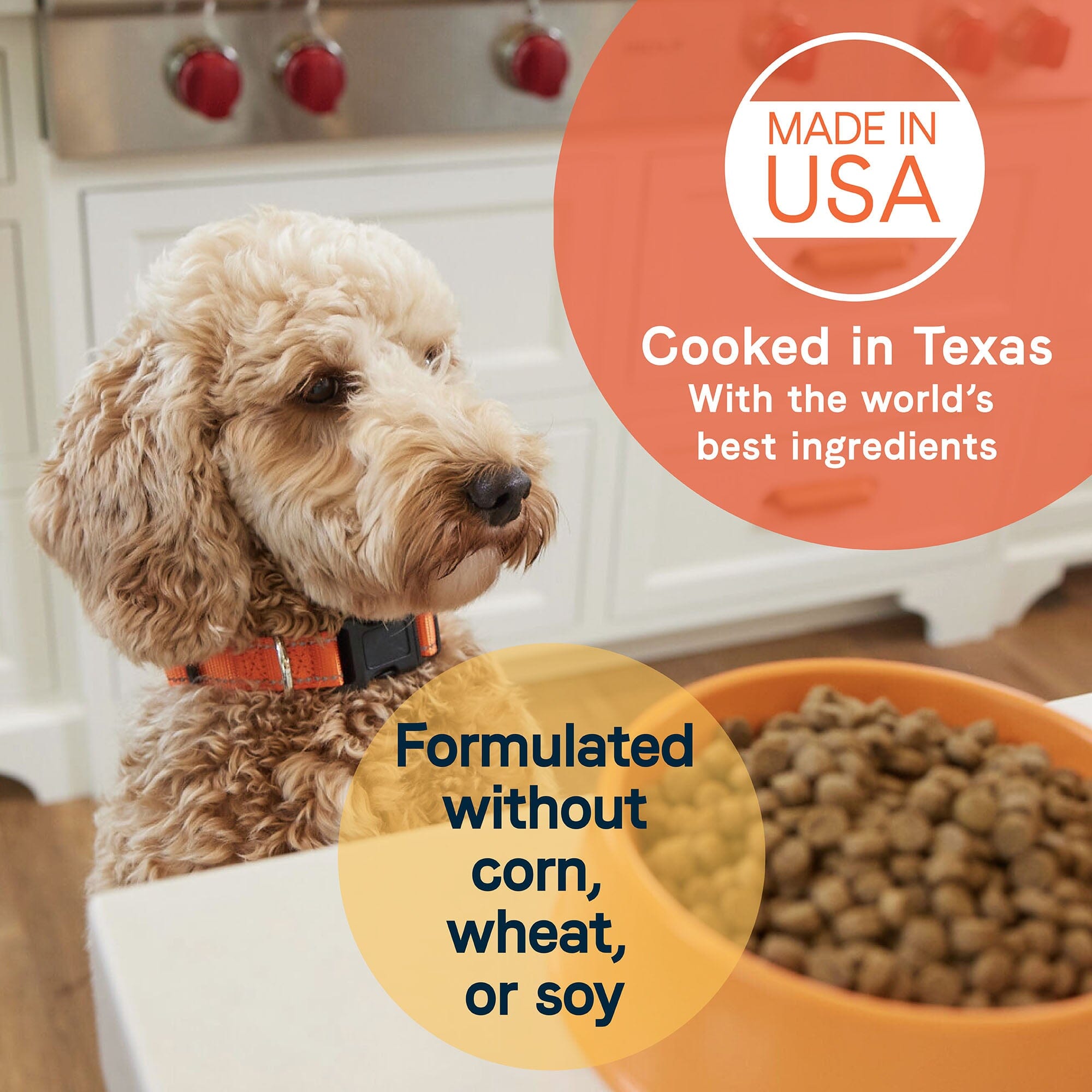 Canidae All Life Stages Premium Dry Dog Food - Real Chicken & Ancient Grains Recipe - 27 Lbs