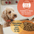 Canidae All Life Stages Premium Dry Dog Food - Real Chicken & Ancient Grains Recipe - 27 Lbs