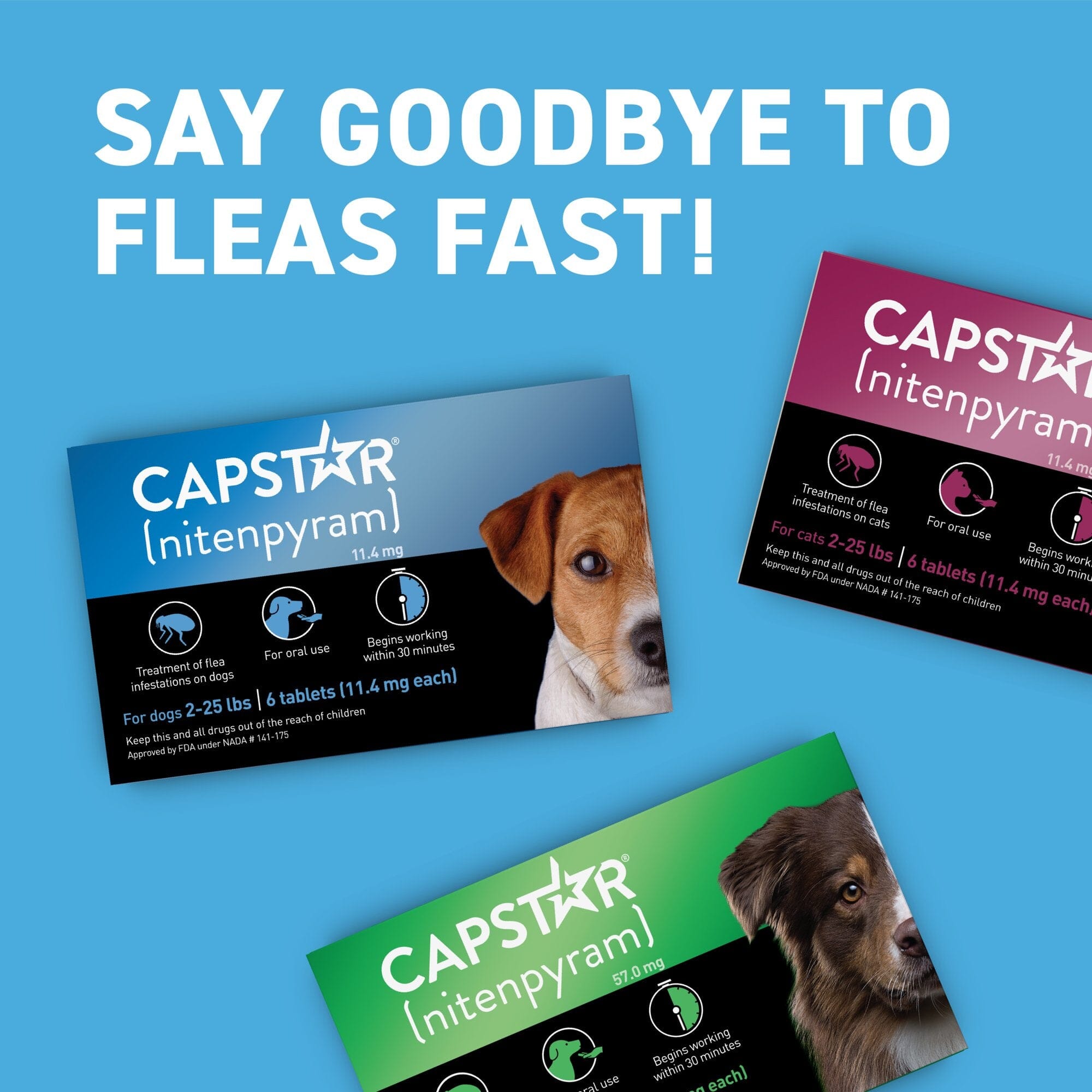 Capstar Flea and Tick Treatment Oral Dog Supplements - Small Dogs 2-25 Lbs -  6 Tablet Doses