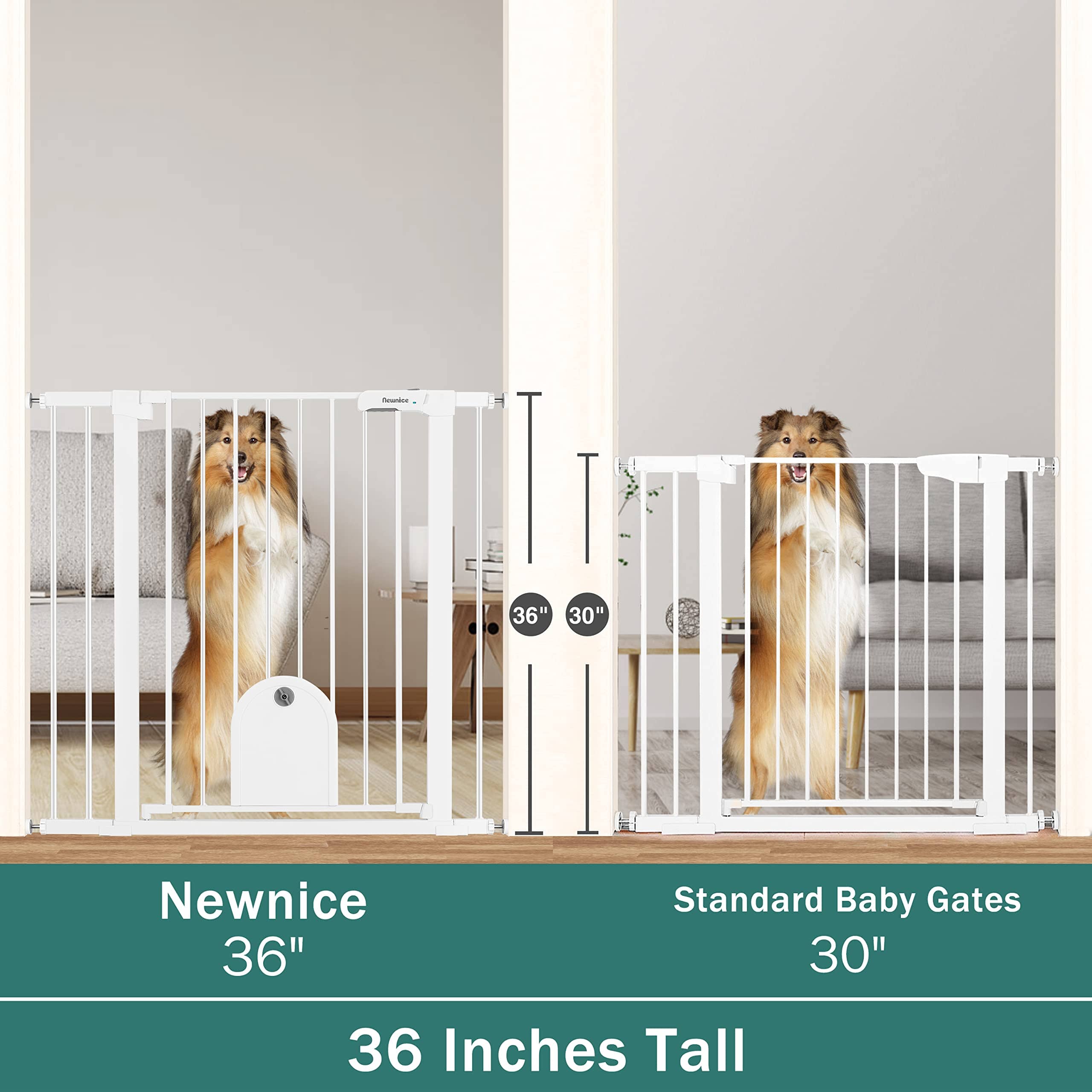 Carlson Pet Extra-Tall Walk-Through Metal Pet Gate with 10X7" Door - White - L: 29-52" X W: 2" X H: 41"  