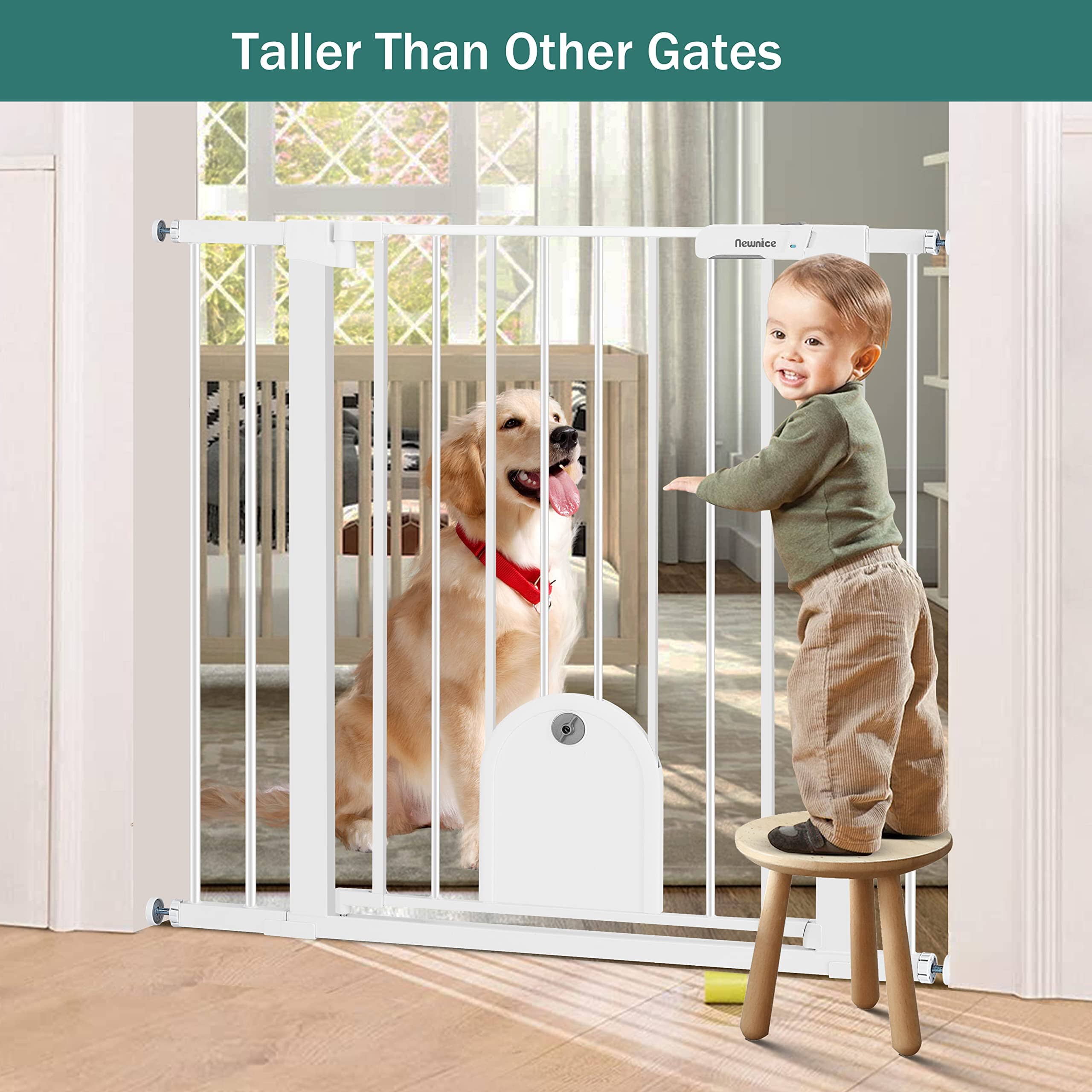 Carlson Pet Extra-Tall Walk-Through Metal Pet Gate with 10X7