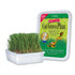 Cat A'Bout Cata'Bout Cat Grass Plus - 5.25 Oz