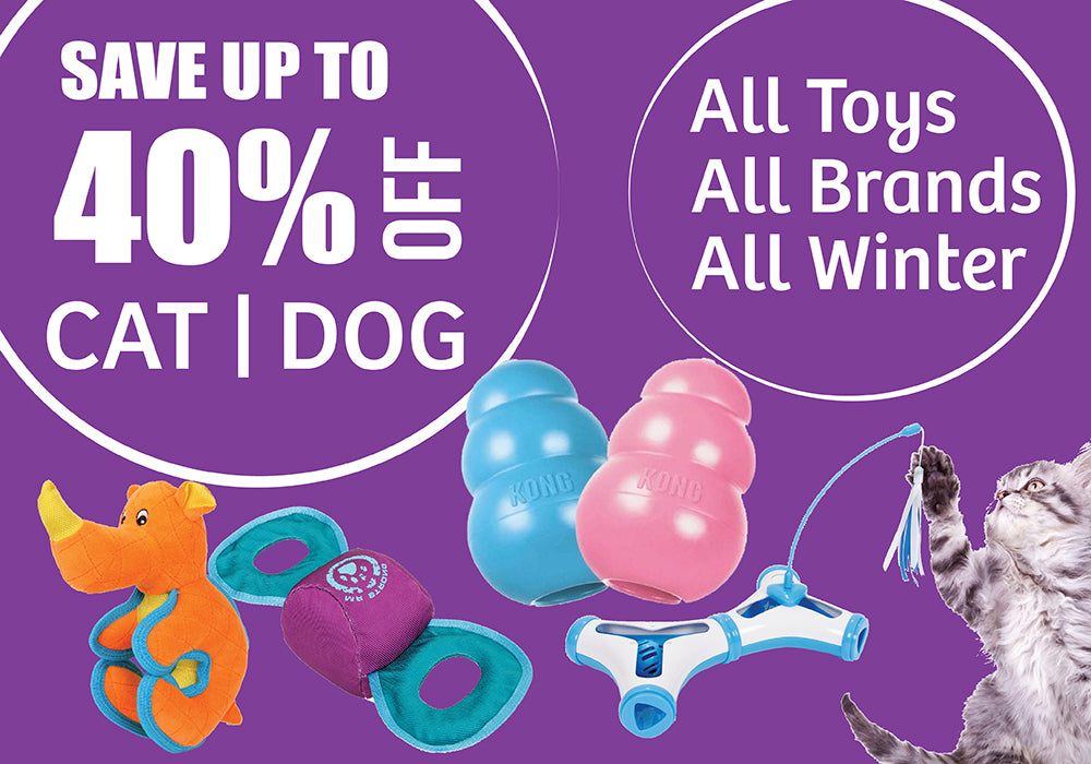 cat and dog toys