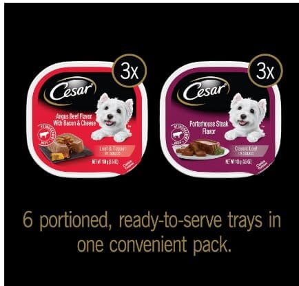 Cesar Canine Cuisine Savory Angus Beef with Cheese & Bacon Wet Dog Food - 3.5 oz - Case of 24  