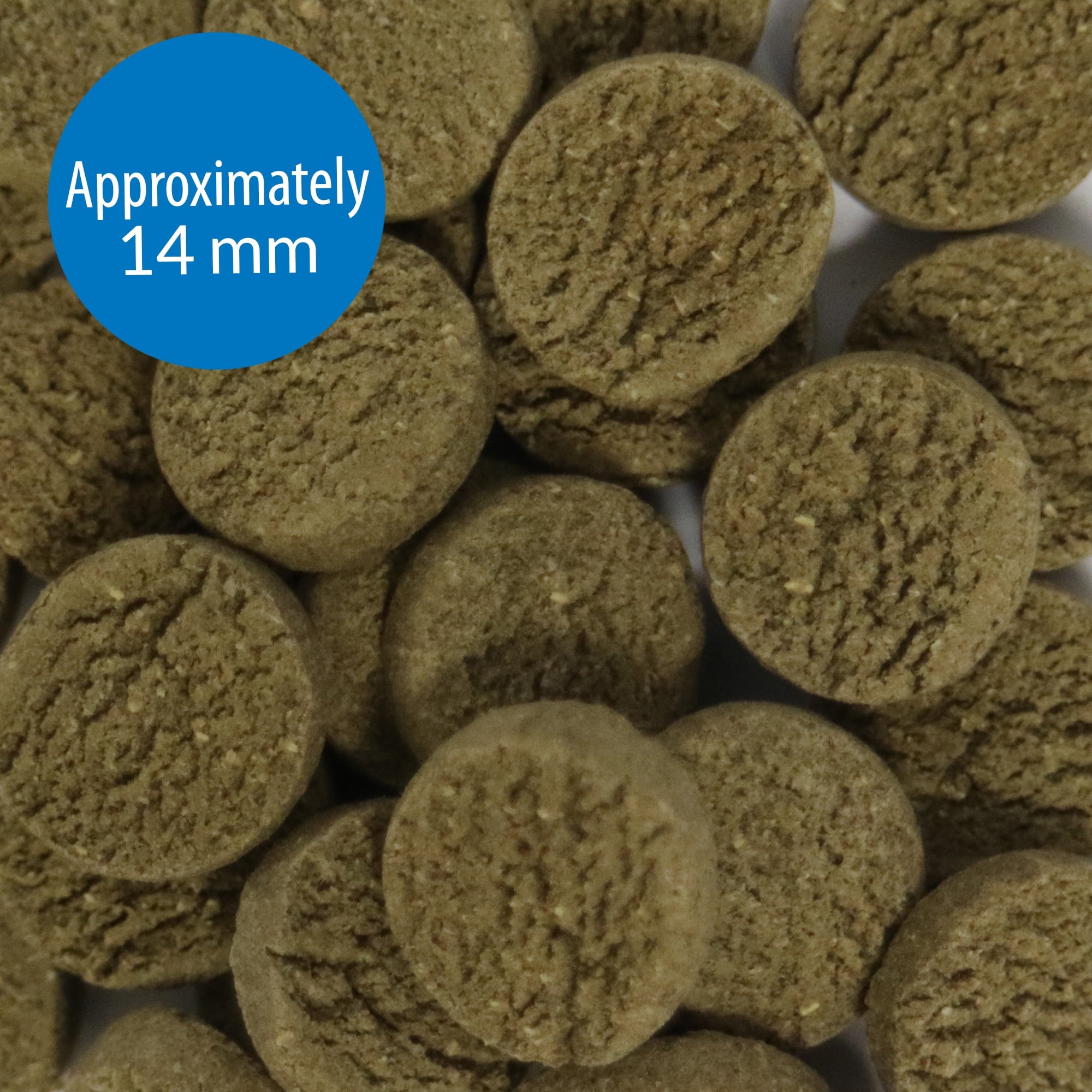 API Algae Eater Wafers Algea Saltwater and Freshwater Fish Food - 1.3 Oz