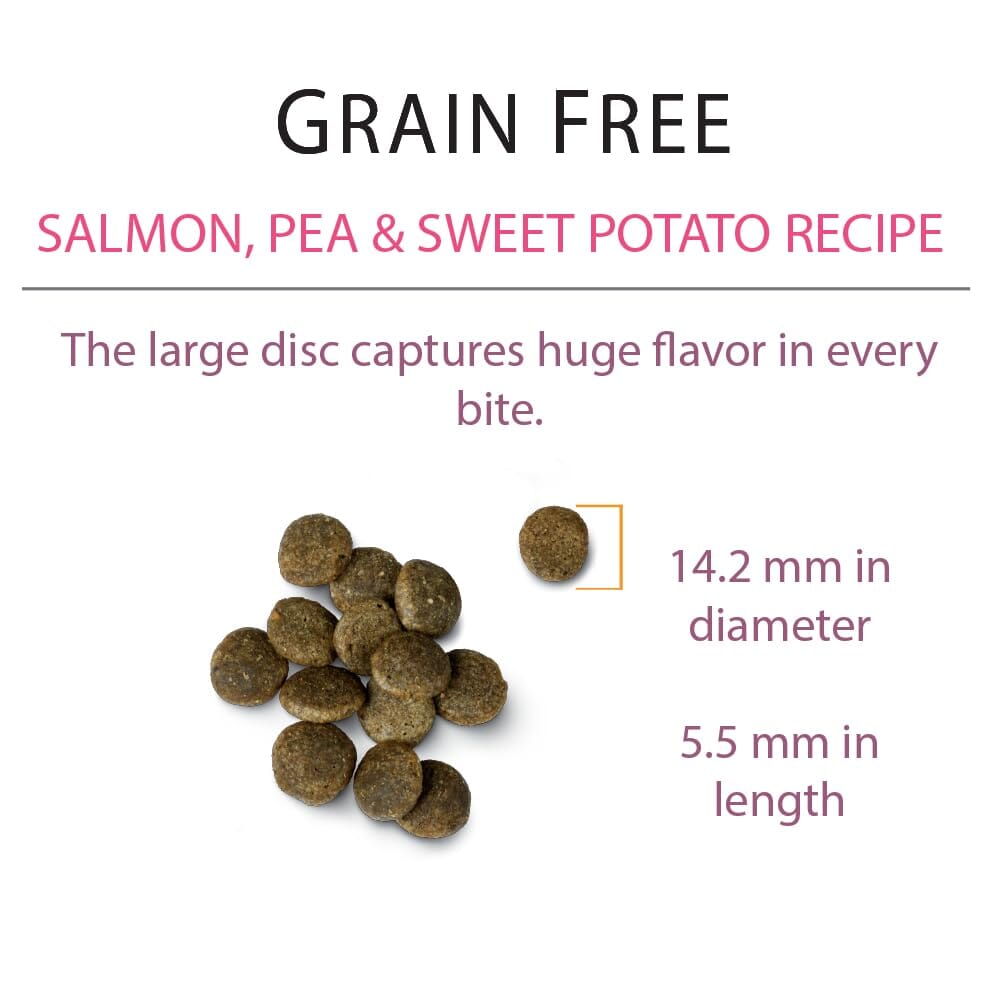 Chicken Soup For The Soul Grain Free Salmon and Sweet Potato Dry Dog Food  