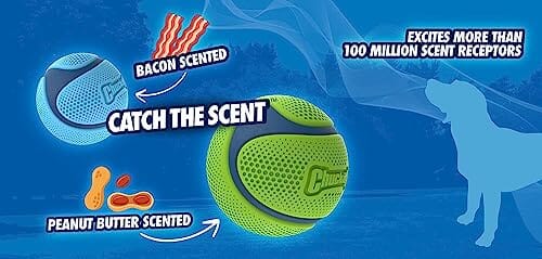 Chuckit! Petmate Sniff Ball High-Bounce Bacon Scented Rubber Dog Toy - Medium - 2.5 Inch