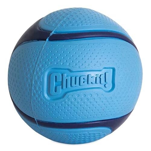 Chuckit! Petmate Sniff Ball High-Bounce Bacon Scented Rubber Dog Toy - Medium - 2.5 Inch