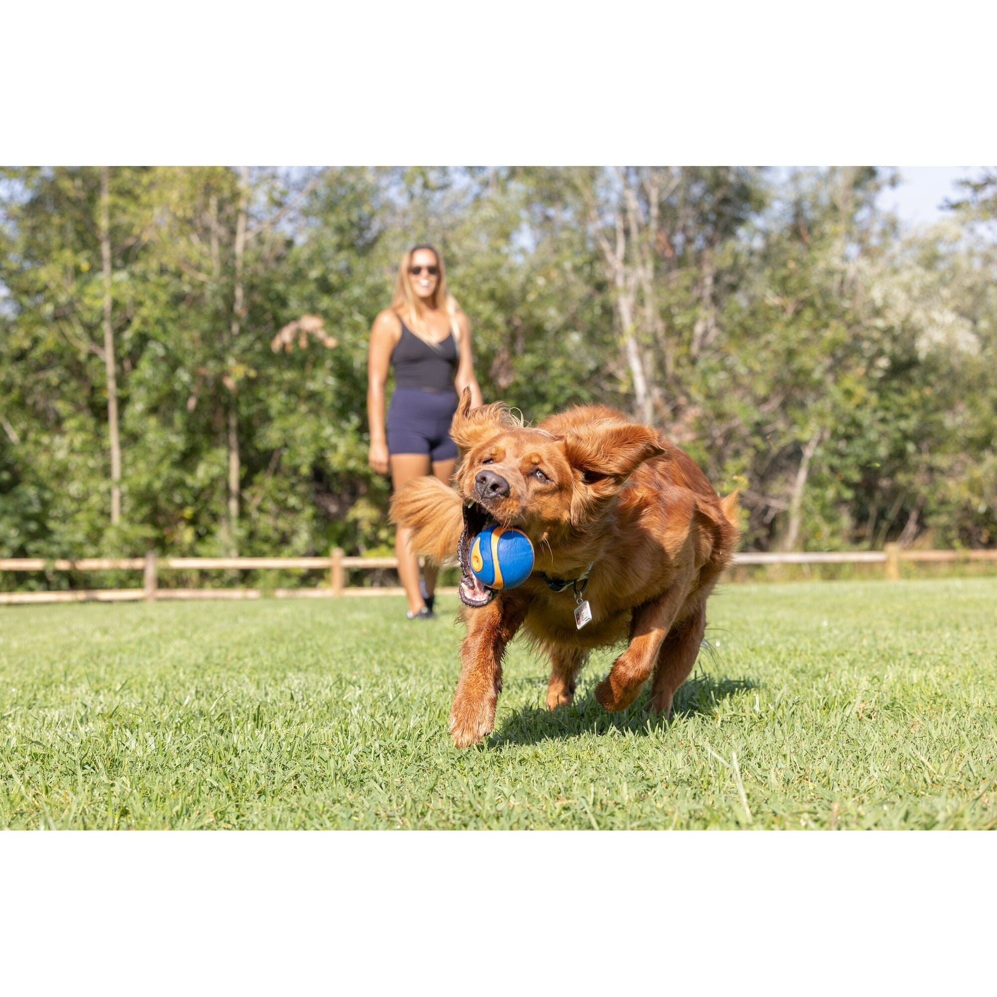 Chuckit! Ultra-Squeaker Ball High-Bounce and Fetch Rubber Dog Toy - Orange - Extra Large