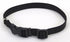 Coastal Adjustable Plastic Tuff-Buckle Nylon Dog Collar Black Small - L:10-14 X W:5/8 Inch