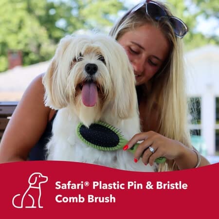 Coastal Safari Combo Pin and Bristle Pet Brush  