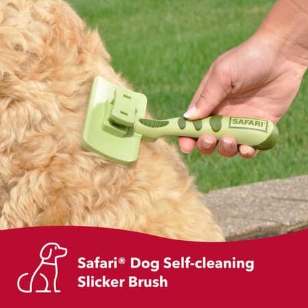 Coastal Safari Self Cleaning Slicker Pet Brush  