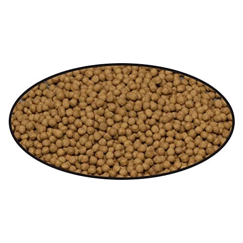 Cobalt Aquatics Bottom Feeder Pellets Salt and Freshwater Fish Food - 7.5 Oz  