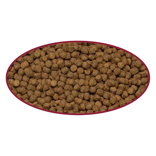 Cobalt Aquatics Cichlid Fish Food Pellets - Jumbo - 8.9 Oz  