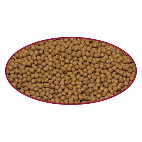 Cobalt Aquatics Cichlid Fish Food Pellets - Medium - 5.7 Oz  