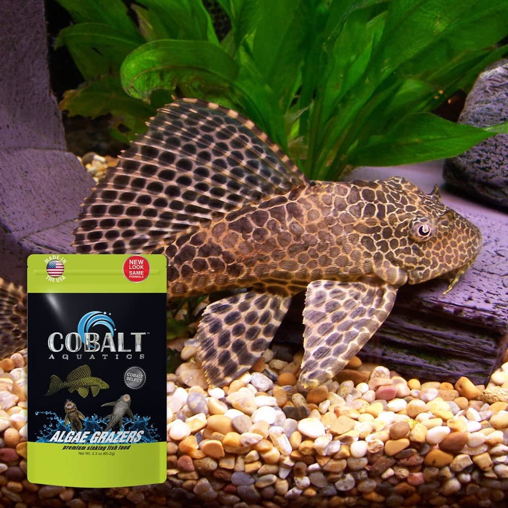 Cobalt Aquatics Grazers Algae Wafers Fish Food - 16 Oz  