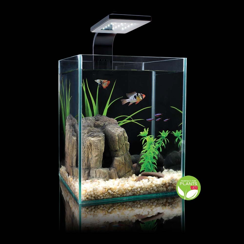 Cobalt Aquatics Microvue3 30 Glass Aquarium Kit - 8 Gal  