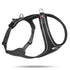 Curli Belka Comfort Dog Harness - Black - Extra Small  