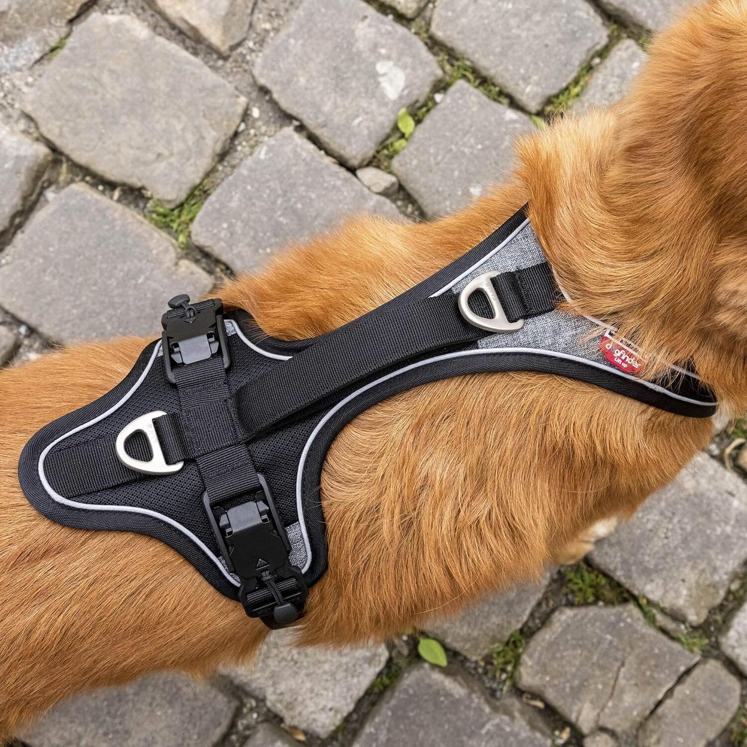 Curli Belka Magnet Dog Harness - Black - Medium  