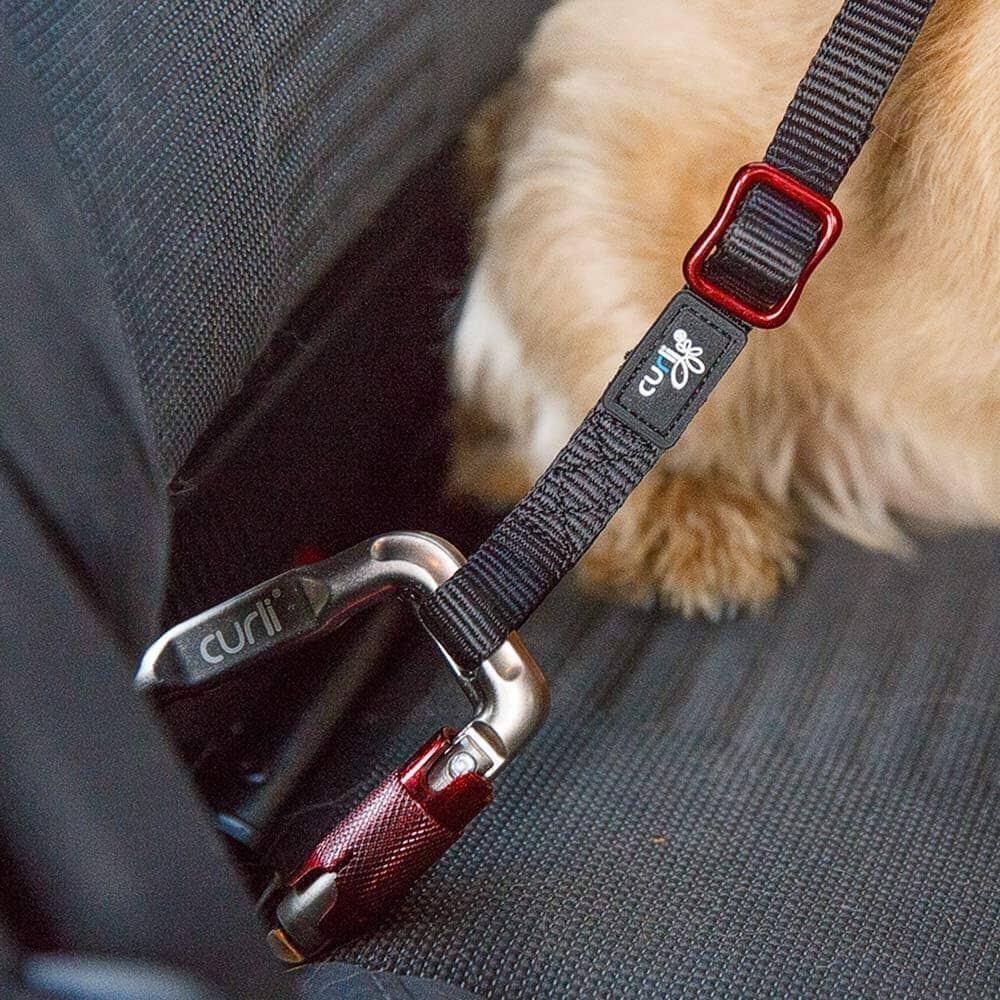 Curli Car Safety Dog Belt - Black - Large  