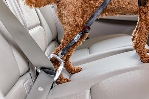 Curli Car Safety V2 Automobile Cat and Dog Seat Belt with Autogyro - Black - Large Default Title