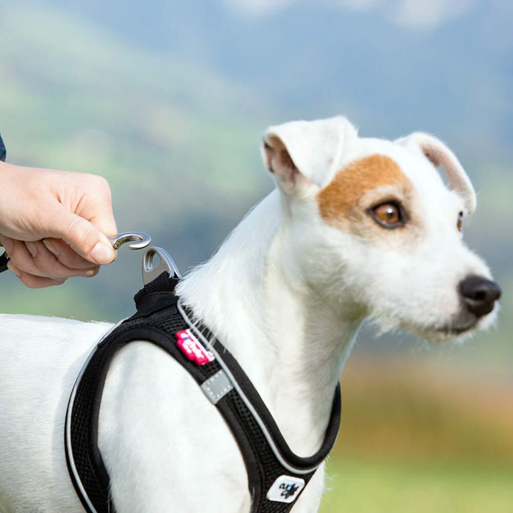 Curli Leather Dog Harness - Brown - XXS  