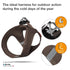 Curli Leather Dog Harness - Brown - XXXS  