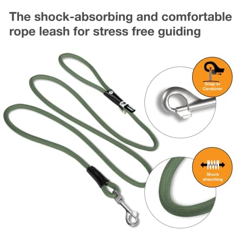 Curli Stretch Comfort Dog Leash - Large - 72 Inch