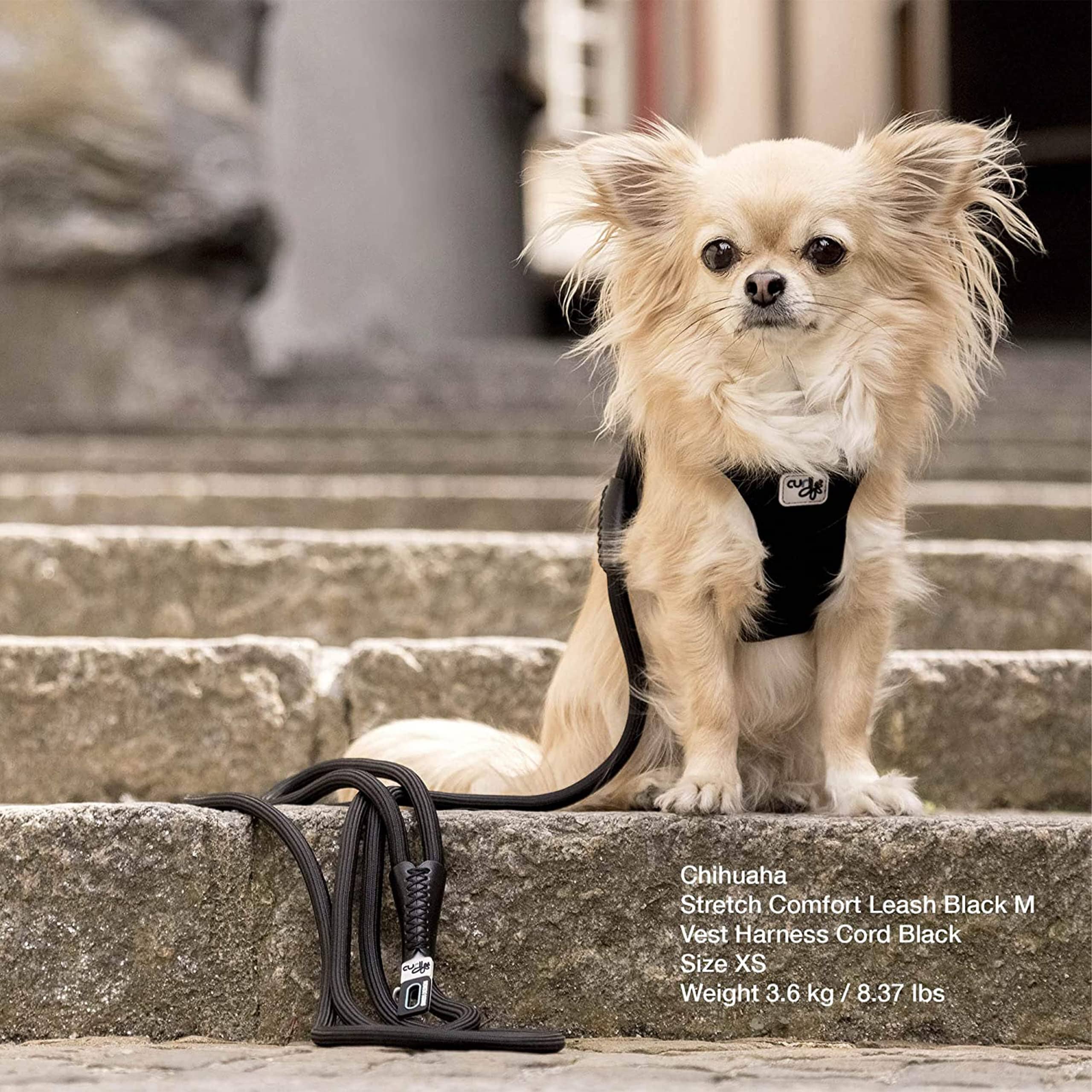 Curli Stretch Comfort Dog Leash - Lime - Medium  