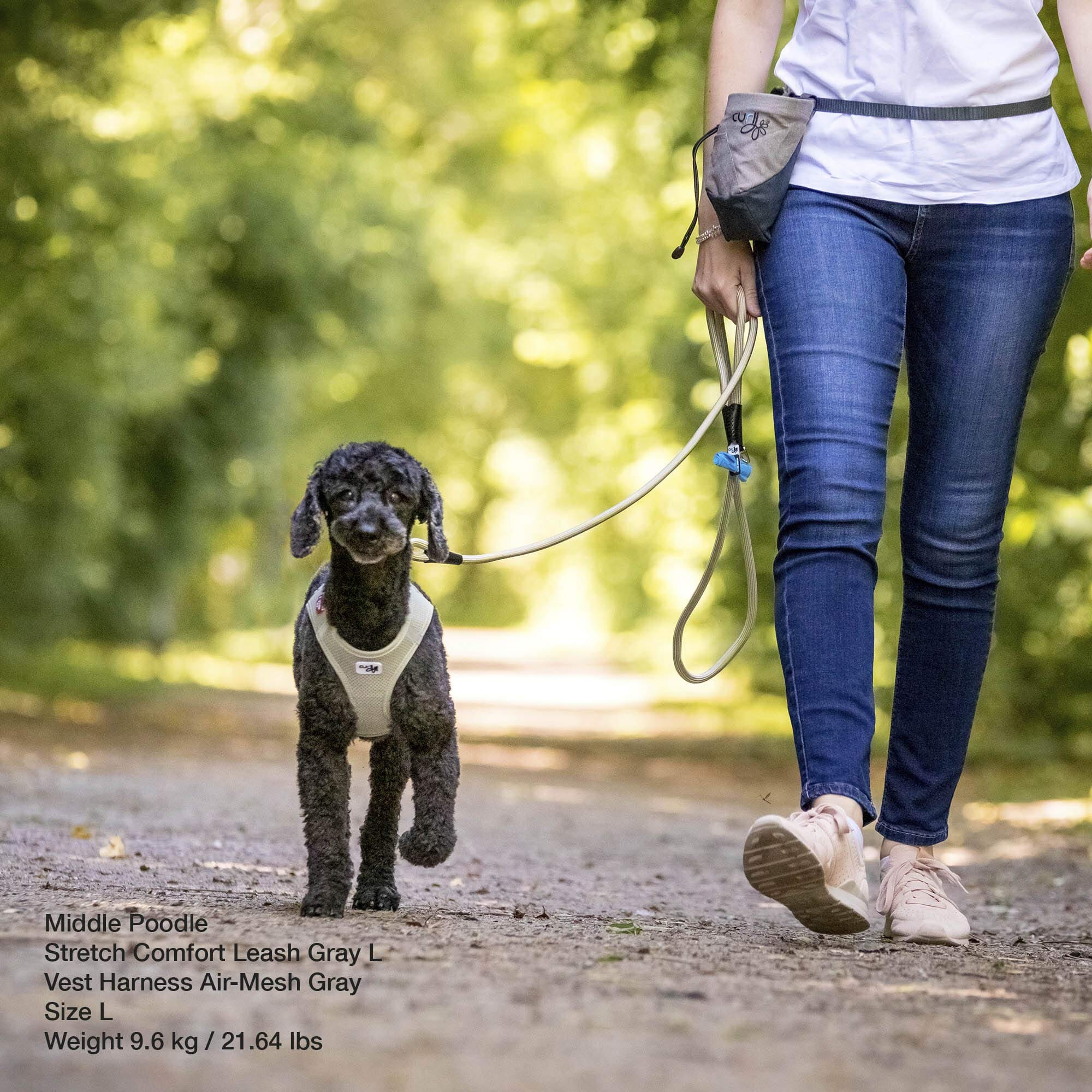 Curli Stretch Comfort Dog Leash - Tan - Medium  