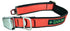 Cycle Dog Regular Earth-Friendly Dog Collar - Green - Medium  