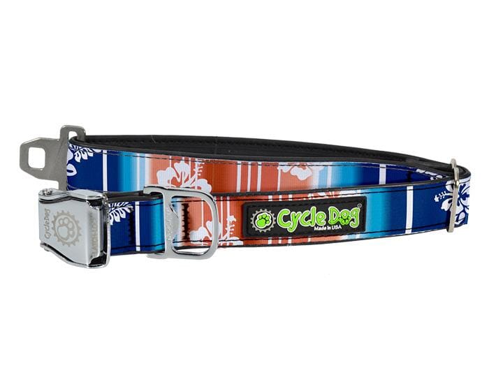 Cycle Dog Regular Earth-Friendly Dog Collar - Surf - Medium  