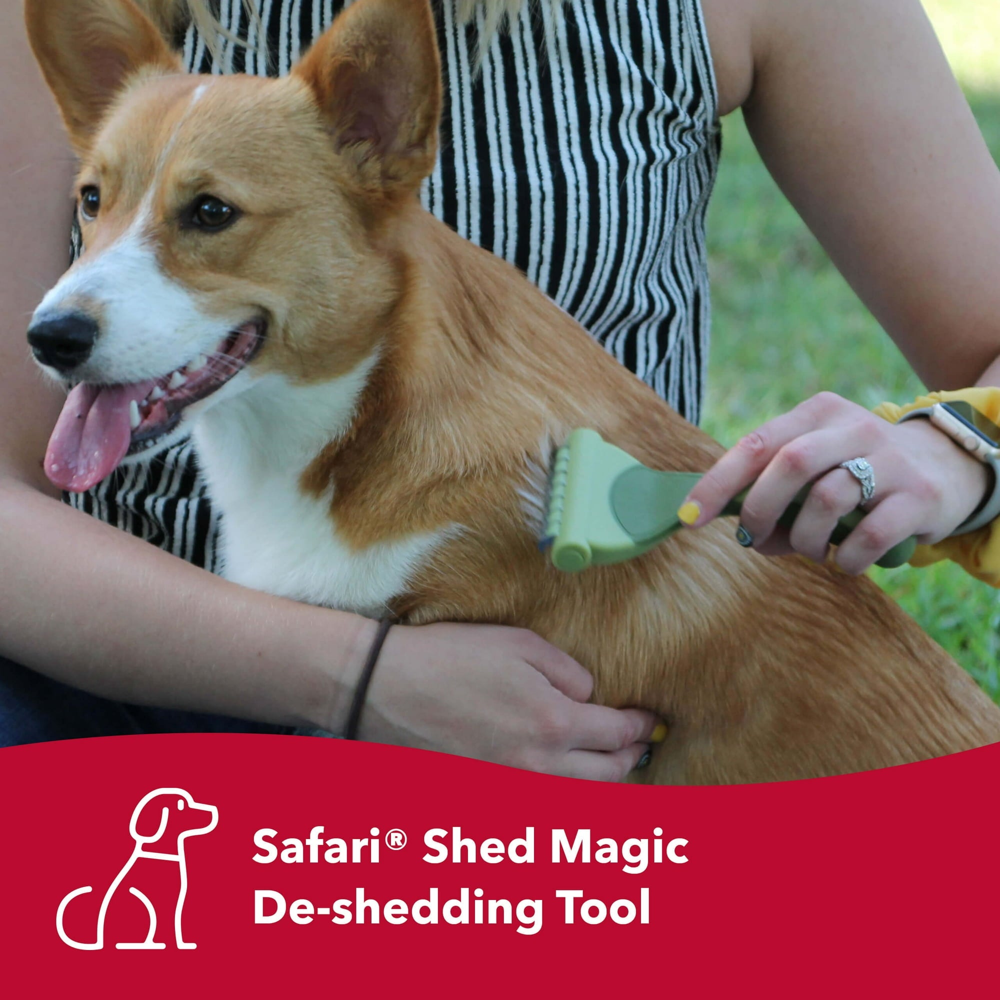 Coastal Safari Shed Magic Grooming Dog Deshedder for Medium to Large Hair