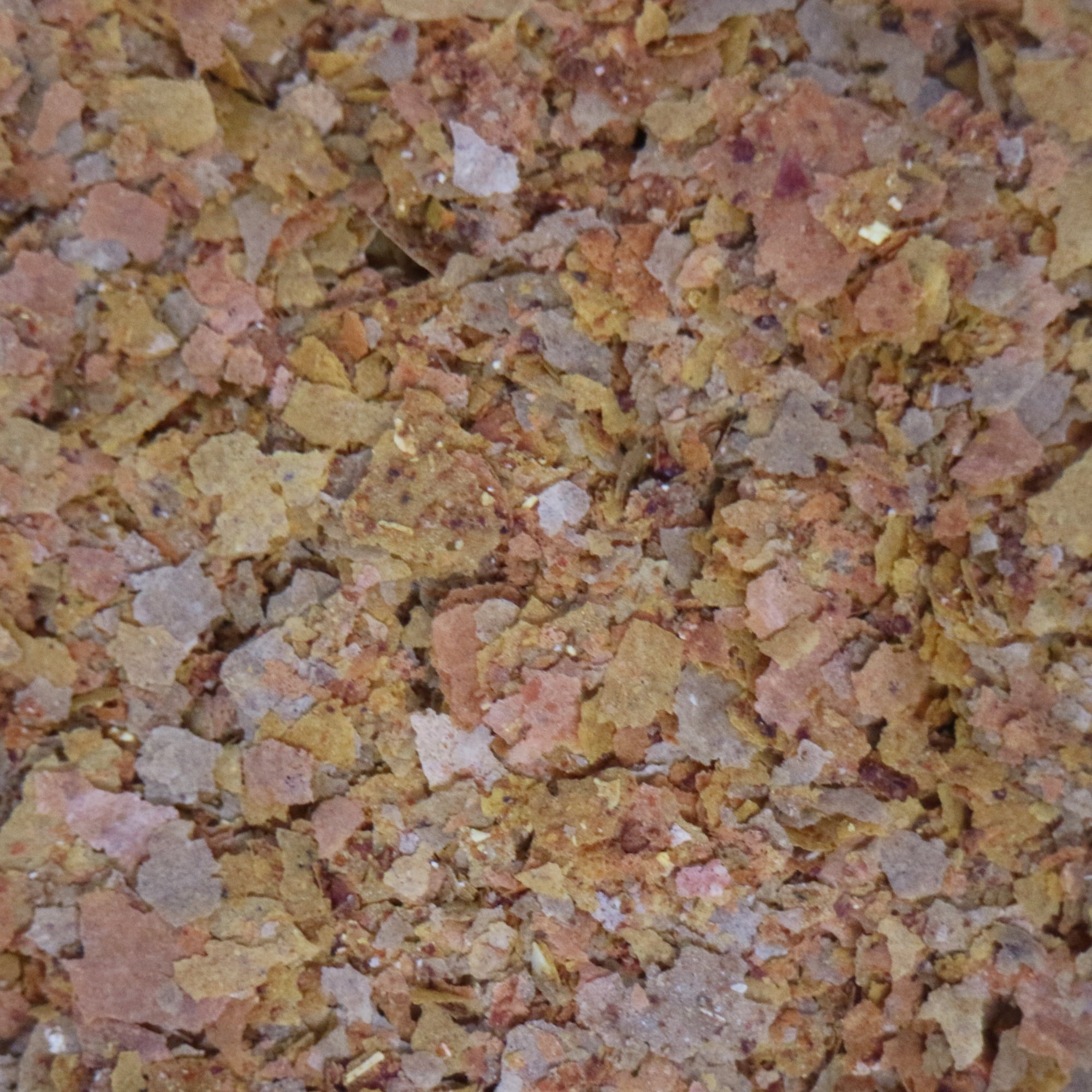 API Tropical Freshwater Fish Food Flakes