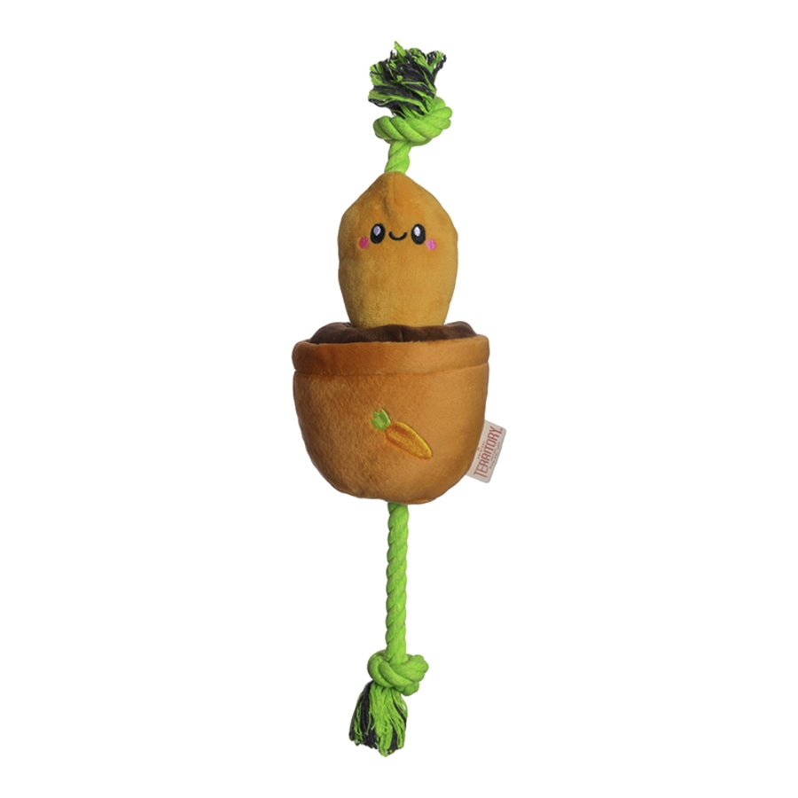 Territory Carrot Treat-and-Tug Interactive Rope and Plush Dog Toy - 15 Inches