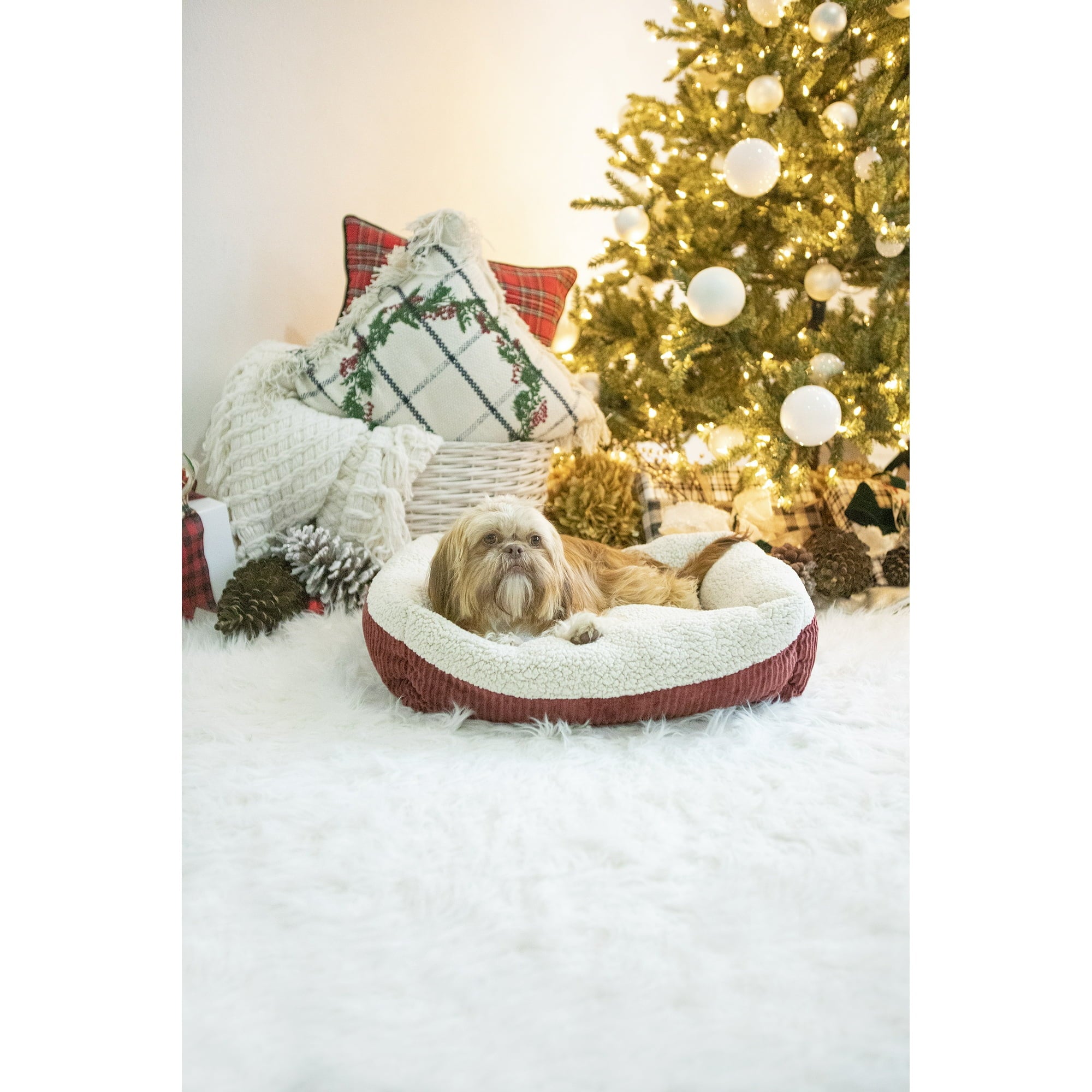 Petmate Aspen Self-Warming Rounded Sherpa Dog Bed - Barn Red/Cream - L:19.5 X W:19.5 X H:7 Inches