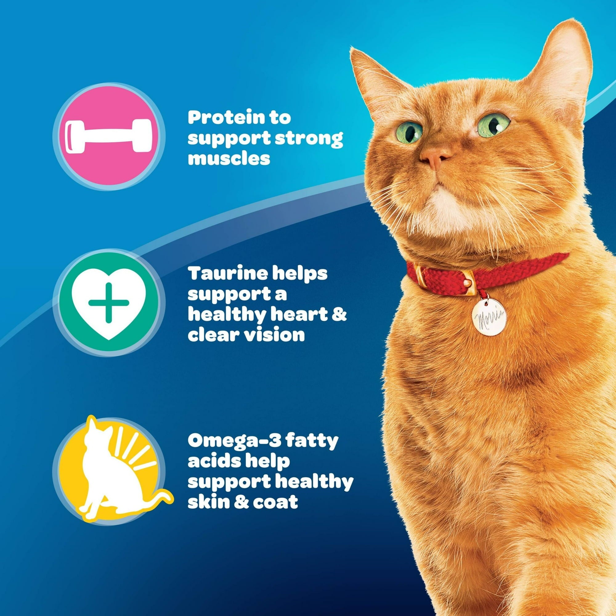 9Lives Daily Essentials Chicken Beef and Salmon Dry Cat Food -  28 Lbs