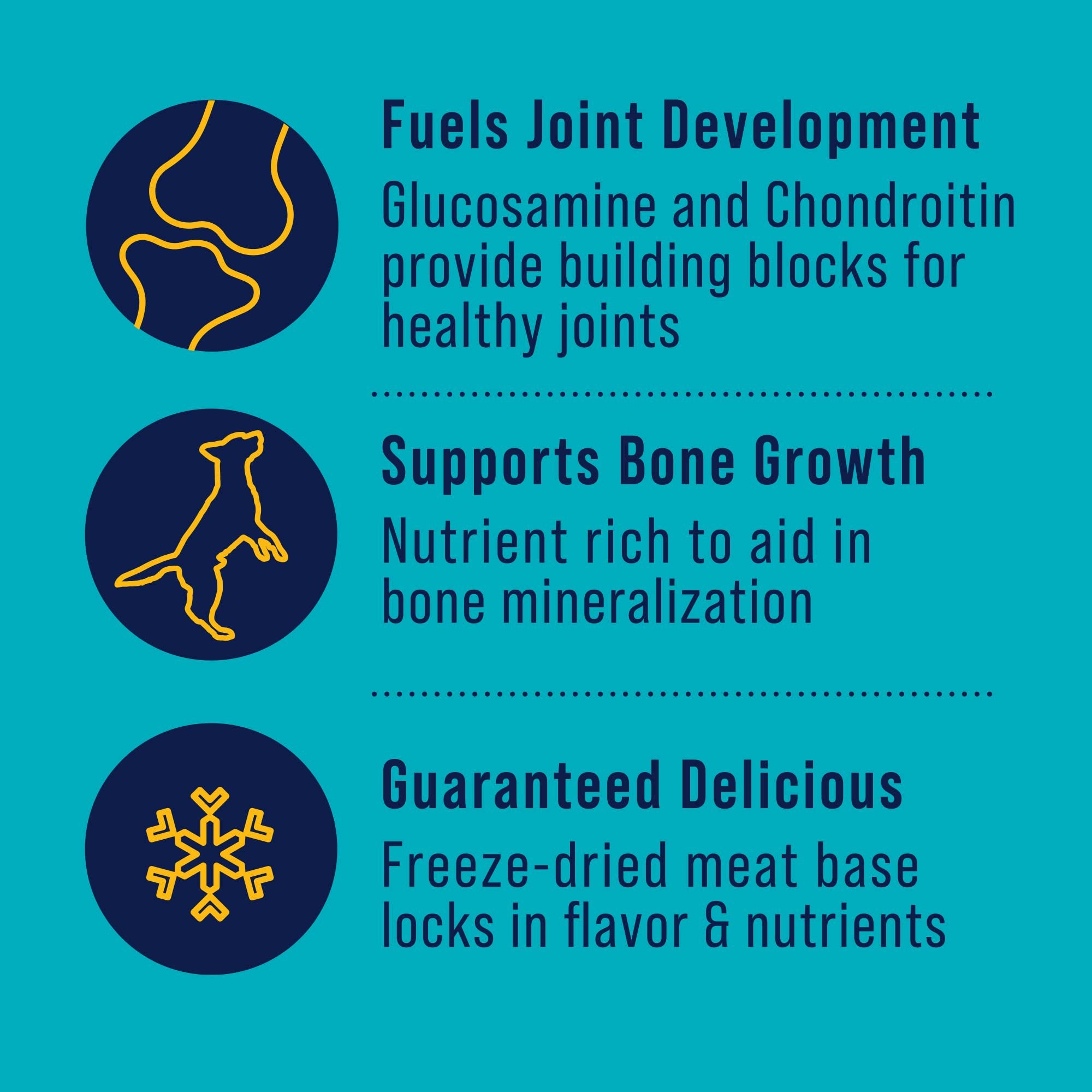 Stewart Healthy Hips Beef Sweet Potato with Glucosamine Freeze-Dried Dog Food Topper or Treats