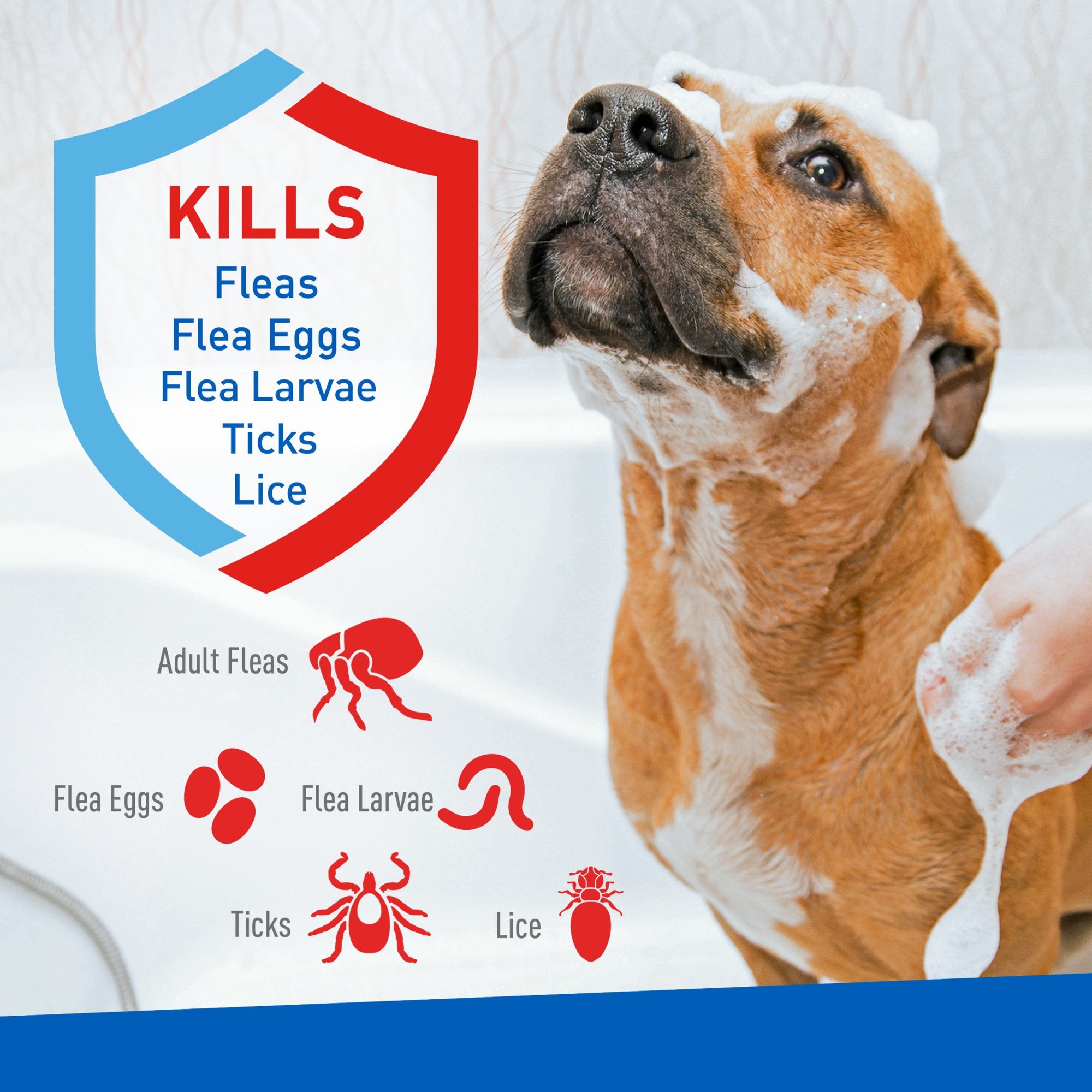 Adams Plus Flea and Tick Shampoo with Precor for Cats and Dogs - 1 Gallon