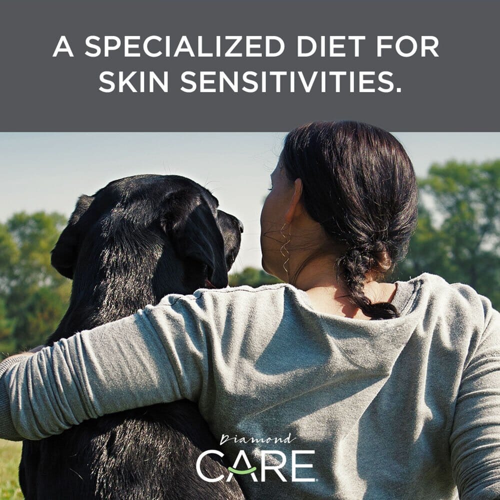 Diamond Care Adult Sensitive Skin Formula Dry Dog Food  