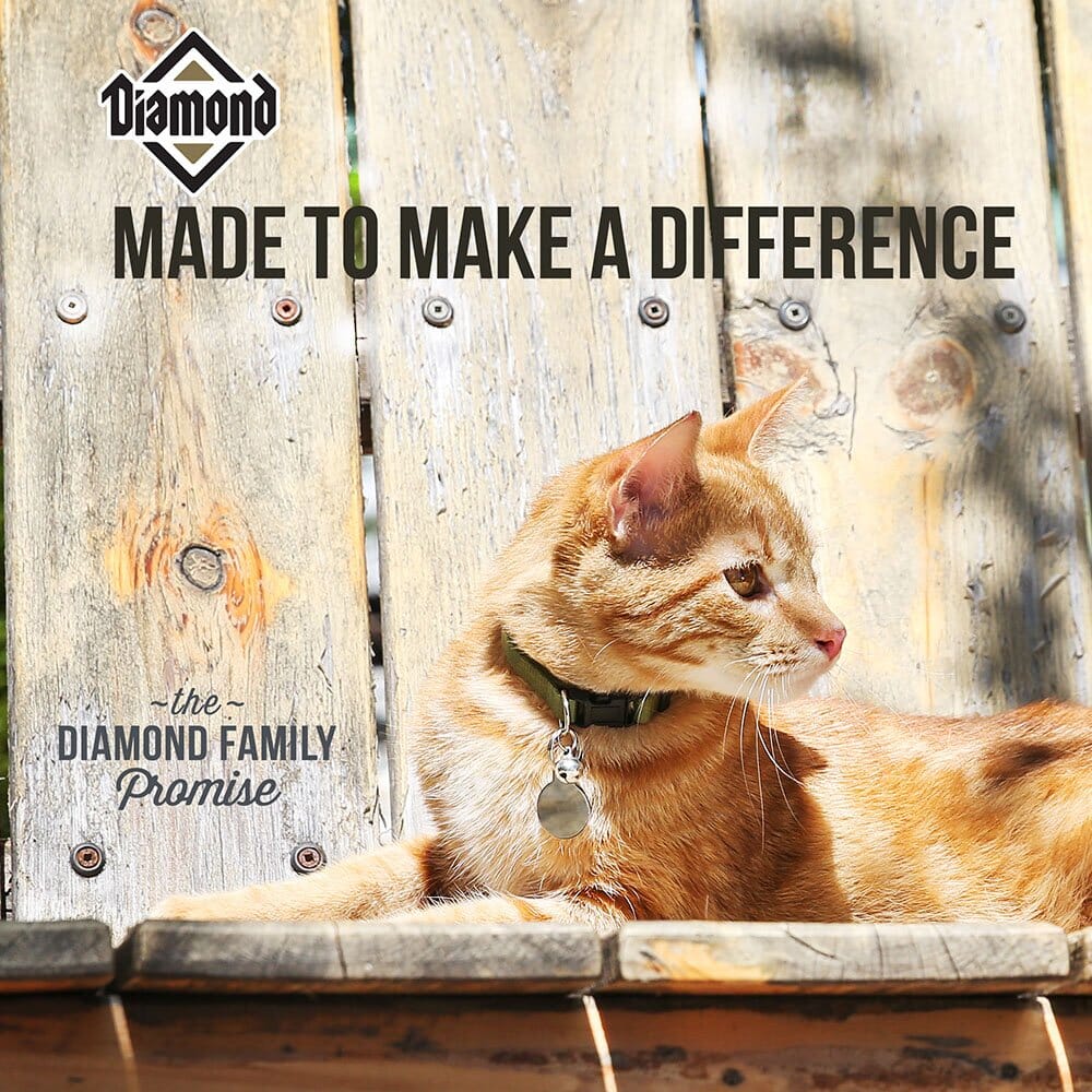 Diamond Country Value Add Adult Dry Cat Food - 20 Lbs  