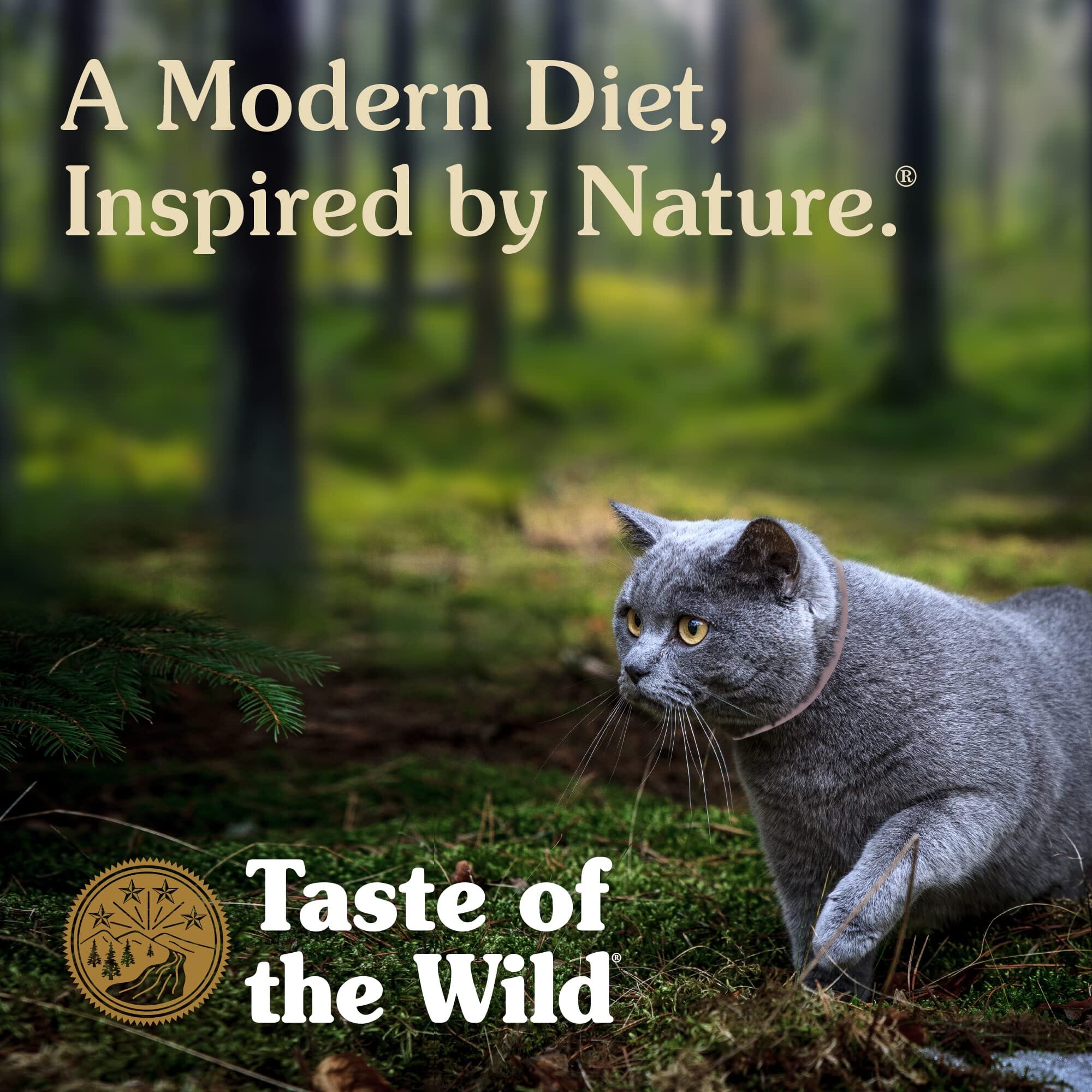 Diamond Pet Foods Taste of the Wild Grain-Free Canyon River Trout and Salmon Dry Cat Food  