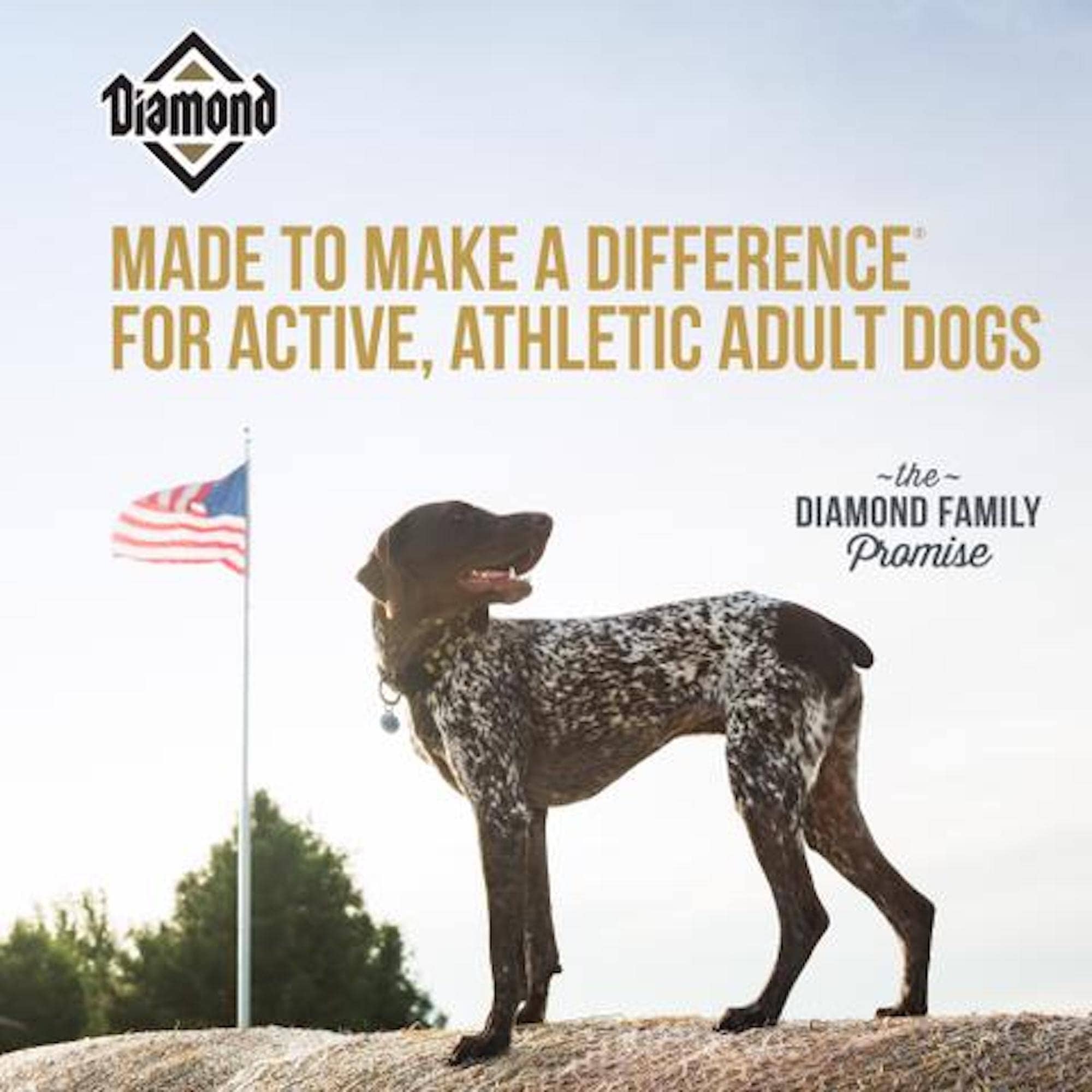 Diamond Premium Adult Dry Dog Food  