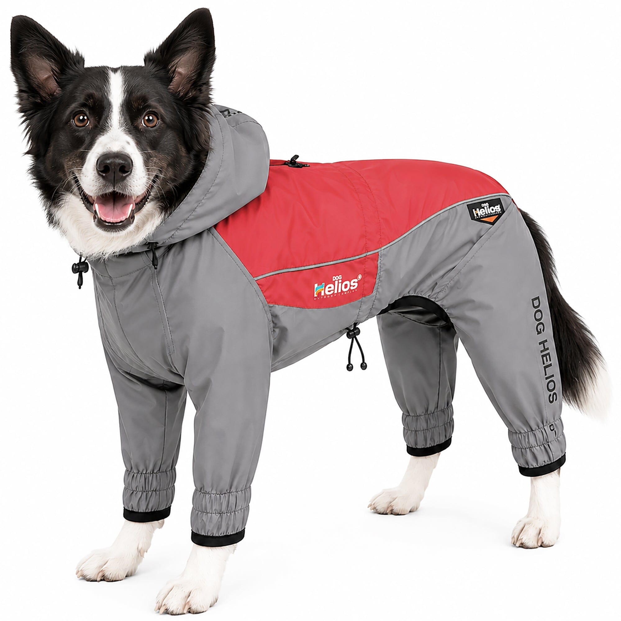 Dog Helios 'Arctic Blast' Full Bodied Winter Dog Coat w/ Blackshark Tech X-Small Red